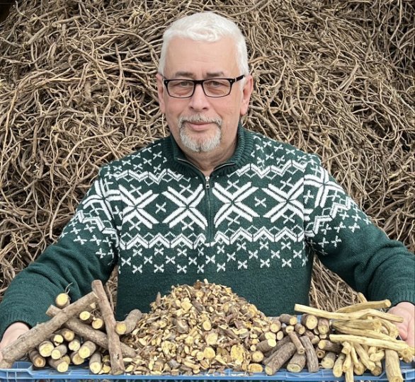 Samir Mammadov, presenting licorice roots