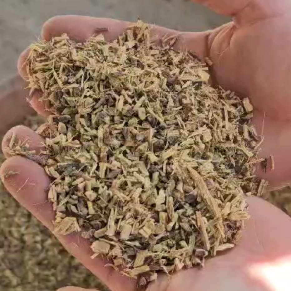 Licorice Root Tea Fraction
